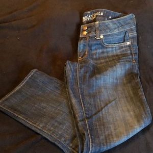American Eagle Artist Crop Jeans